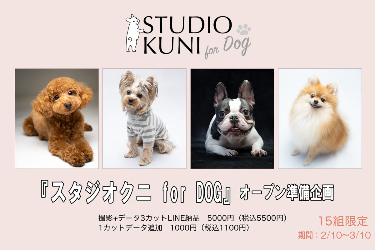 TUNEXX 2ショット撮影会参加券 2部 イヌ セット 2ショット撮影会 | TUNEXX | SET BY US ONLY
